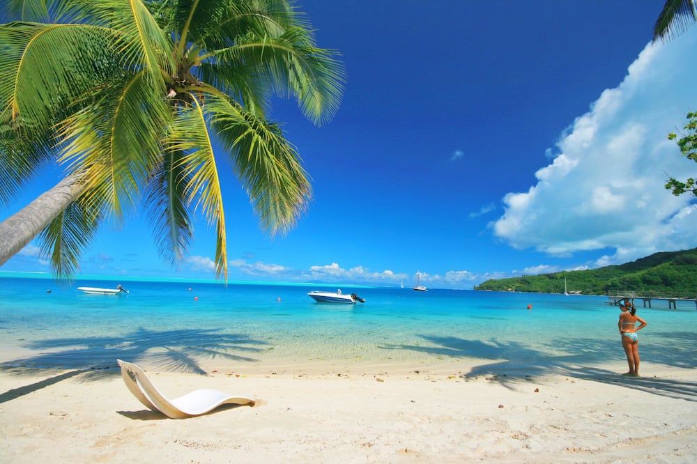 B & Bee Meri Island - Huahine